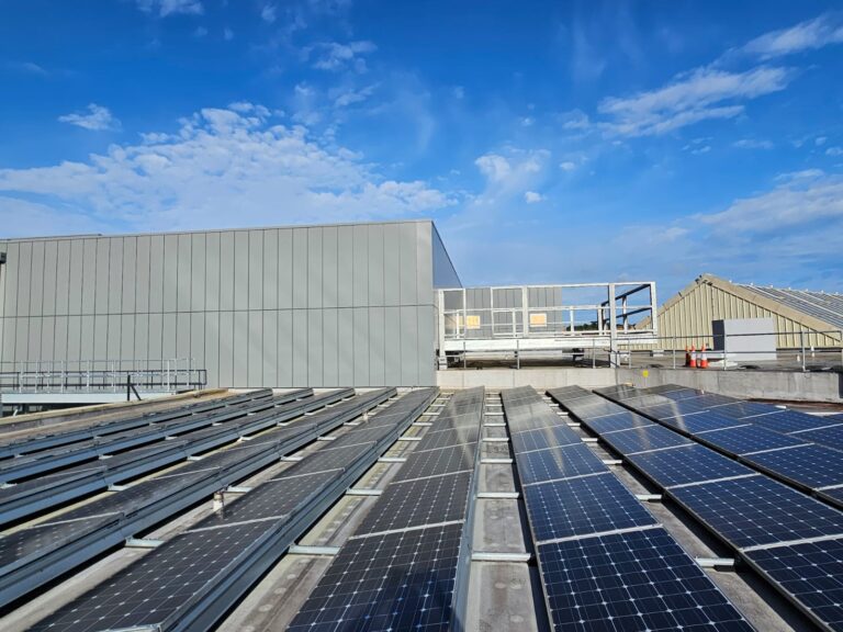 WhatsApp Image 2024-07-27 at 08.08.02 (1) (1)