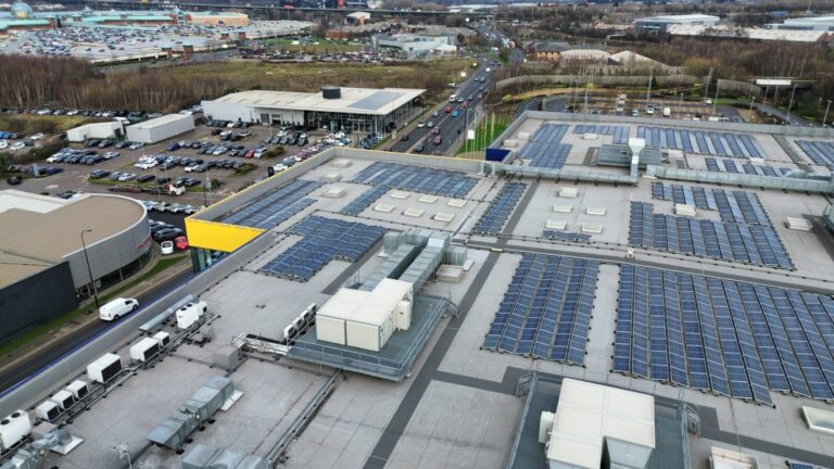 WhatsApp Image 2026-01-16 at 17.21.32