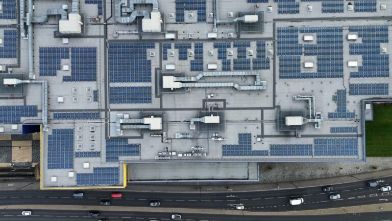 WhatsApp Image 2026-01-16 at 17.21.35