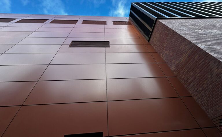 WhatsApp Image 2025-11-18 at 19.51.36