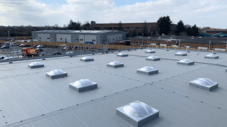 Website pictures (Website) (44)